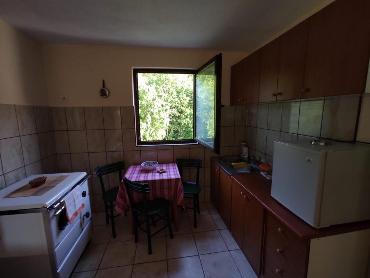 Apartmani Jana Bijelo Polje Buitenkant foto