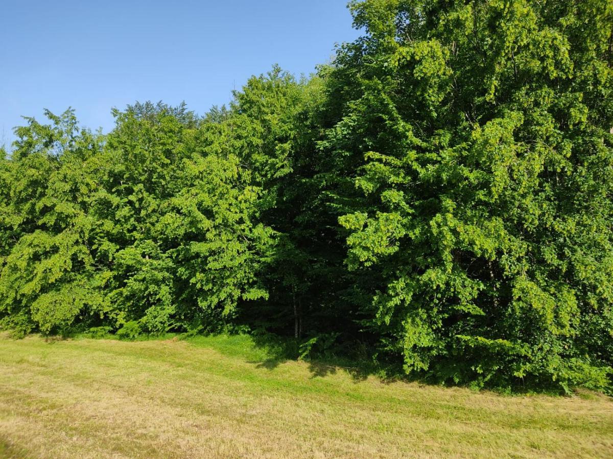 Apartmani Jana Bijelo Polje Buitenkant foto