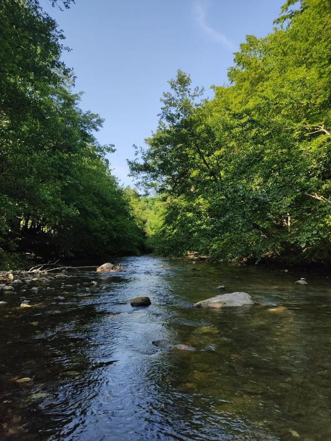Apartmani Jana Bijelo Polje Buitenkant foto