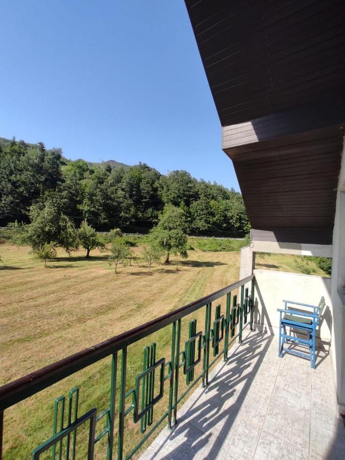 Apartmani Jana Bijelo Polje Buitenkant foto