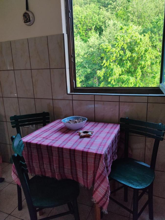 Apartmani Jana Bijelo Polje Buitenkant foto