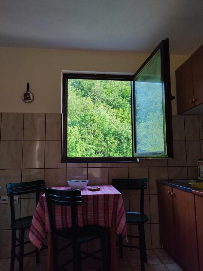 Apartmani Jana Bijelo Polje Buitenkant foto