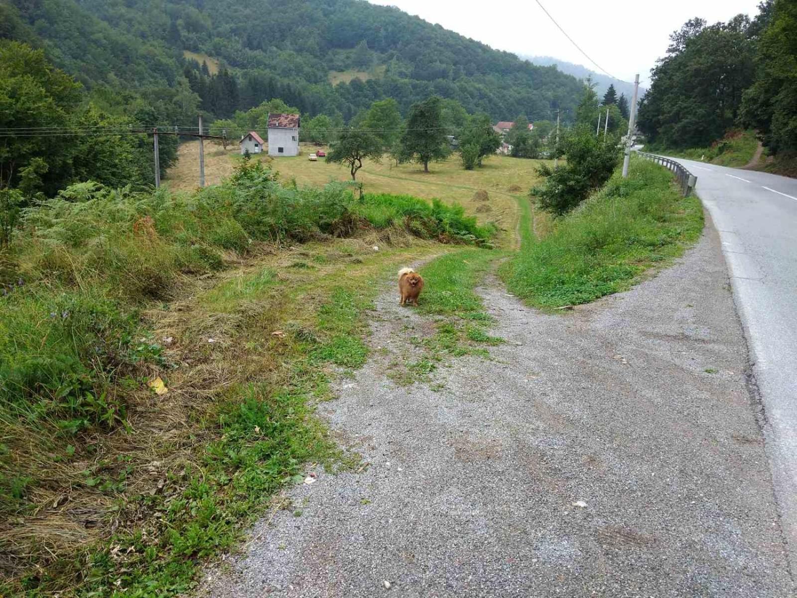 Apartmani Jana Bijelo Polje Buitenkant foto