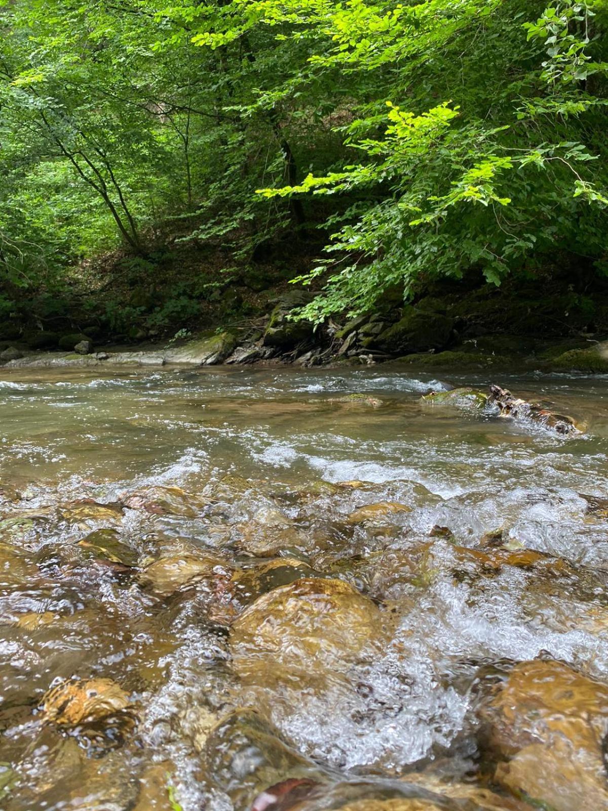 Apartmani Jana Bijelo Polje Buitenkant foto