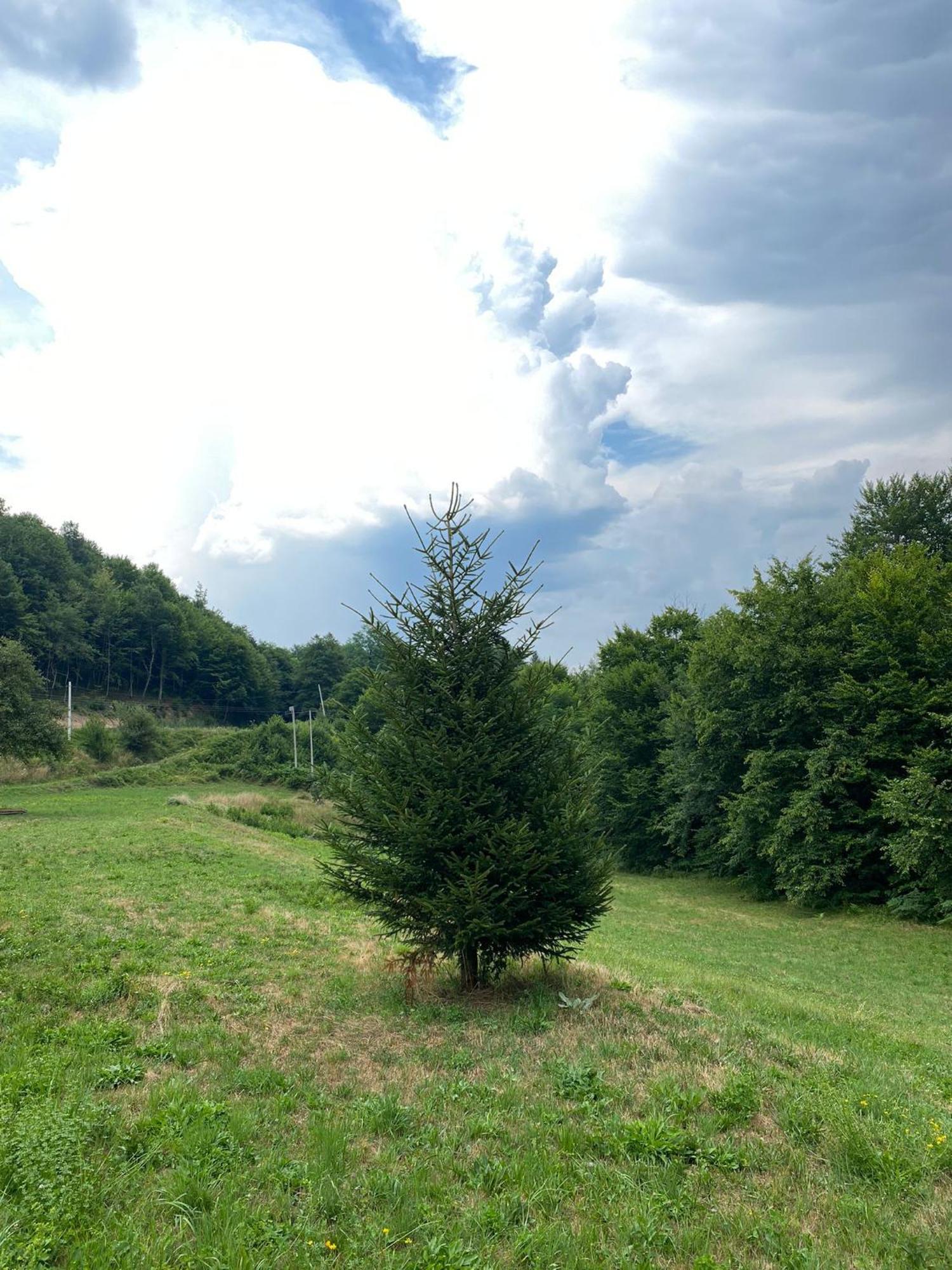 Apartmani Jana Bijelo Polje Buitenkant foto
