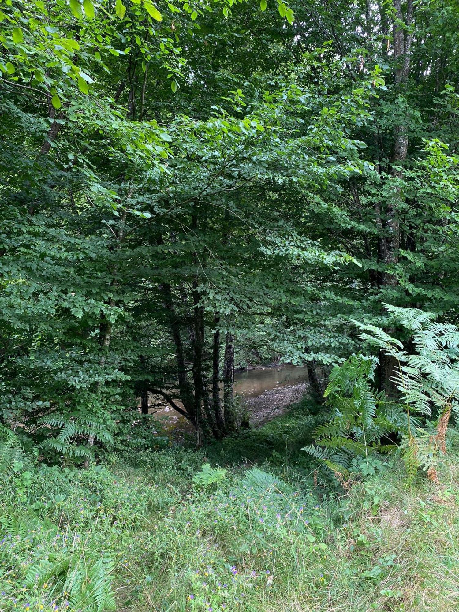 Apartmani Jana Bijelo Polje Buitenkant foto